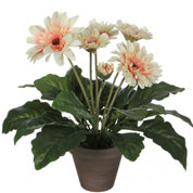 Artificial Plant - Creamy Gerbera - MICA